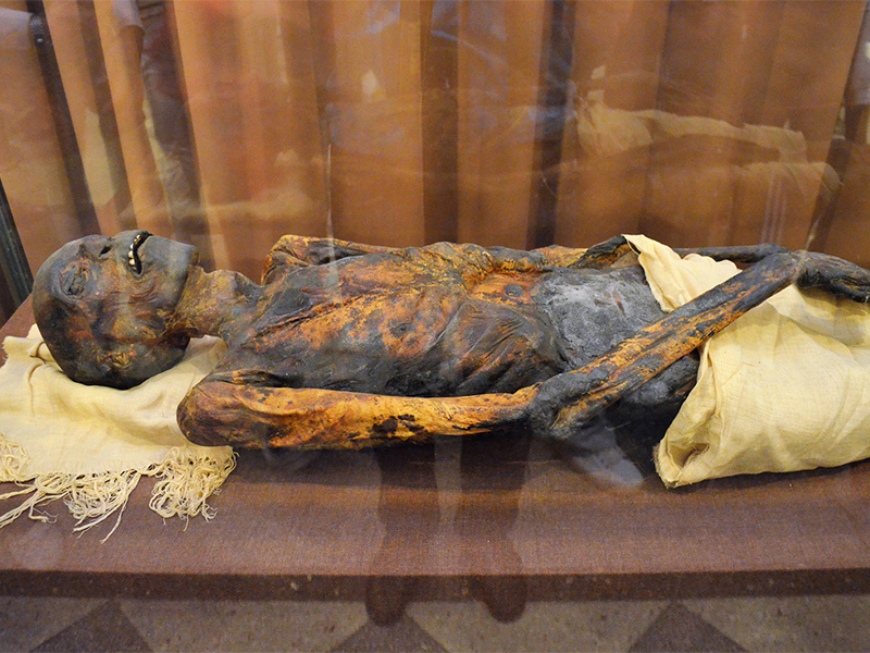 1. Египетская мумия