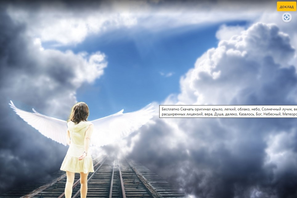 Фото: pxhere.com