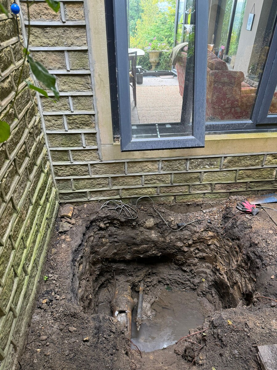 Красивый вид на сад... 