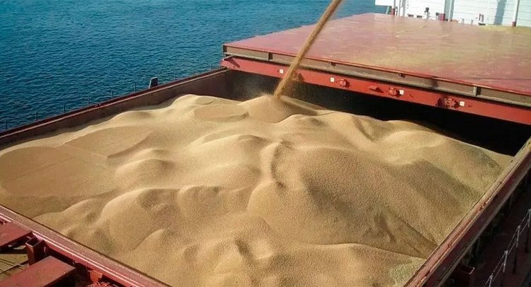    Экспорт зерновых и зернобобовых через порты Ростовской области в I полугодии 2024 года достиг 2,6 млн тонн