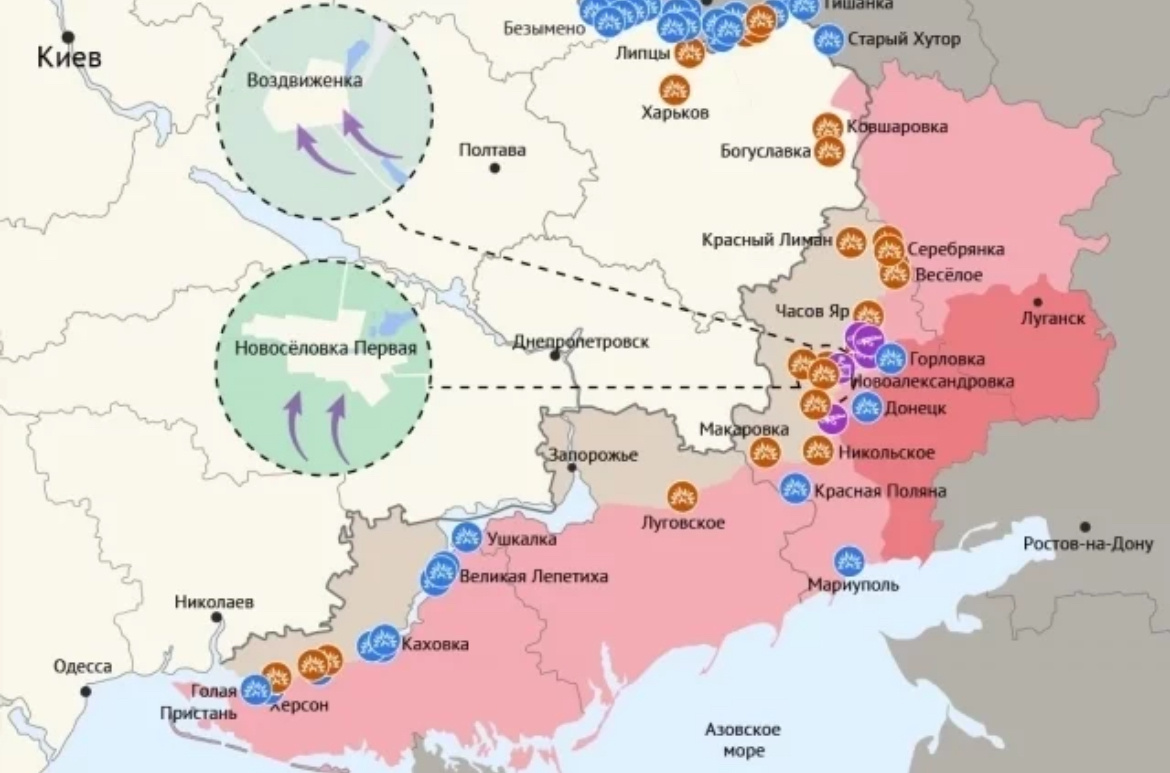 Фото от aif-s3.aif.ru