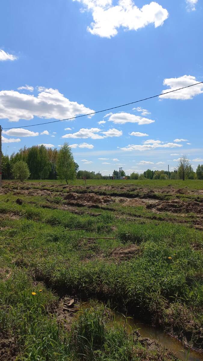 Это дачное бездорожье