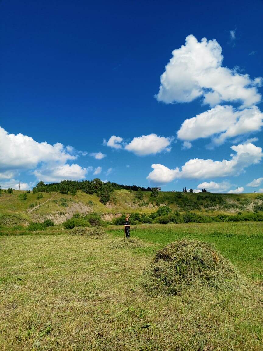 Фото автора канала. Наш помогатор Викуся.