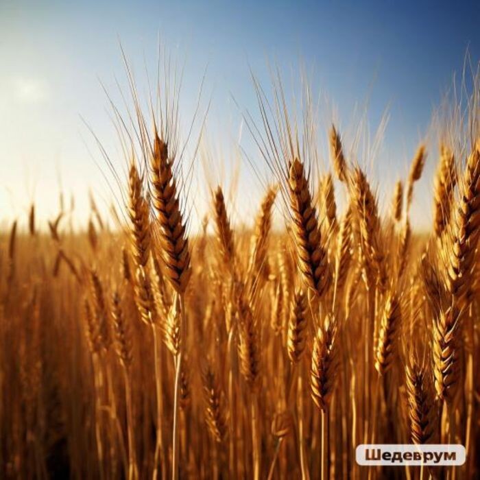 Источник фото: Шедеврум