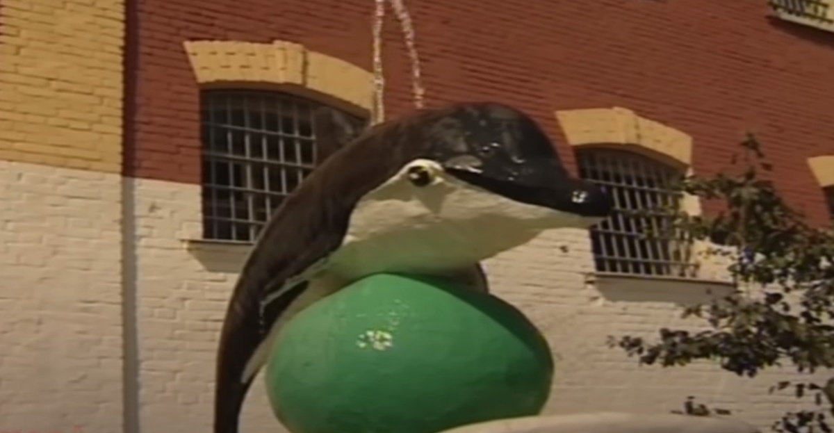 Черный дельфин/скриншот видео youtube