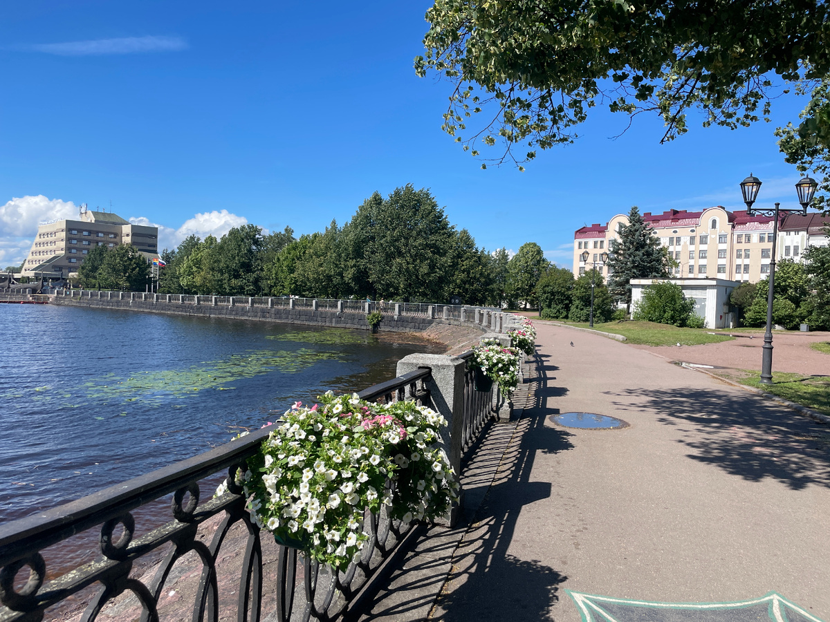 Будущее место старта