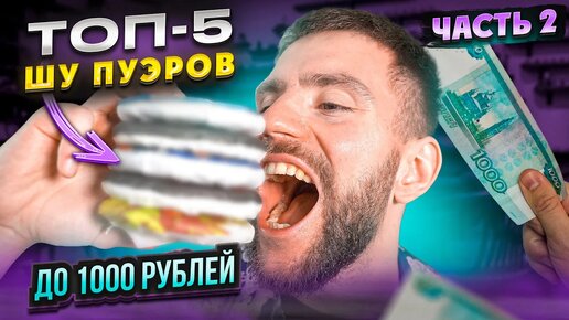 ТОП-5 пуэров до 1000 рублей для радости и бодрости. Как выбрать пуэр? | Китайский чай