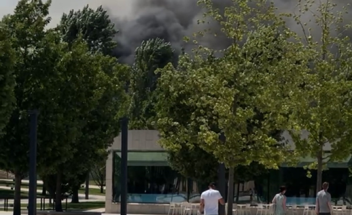 Скрин с видео.