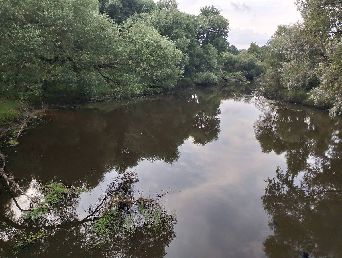 Моя любимая метафора без слов.