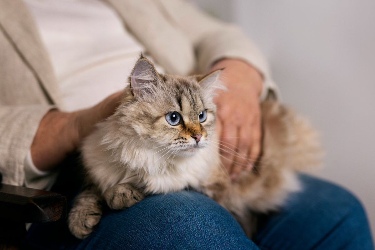 Больше интересного в нашем Telegram-канале! https://t.me/grand_prix_pet_food 