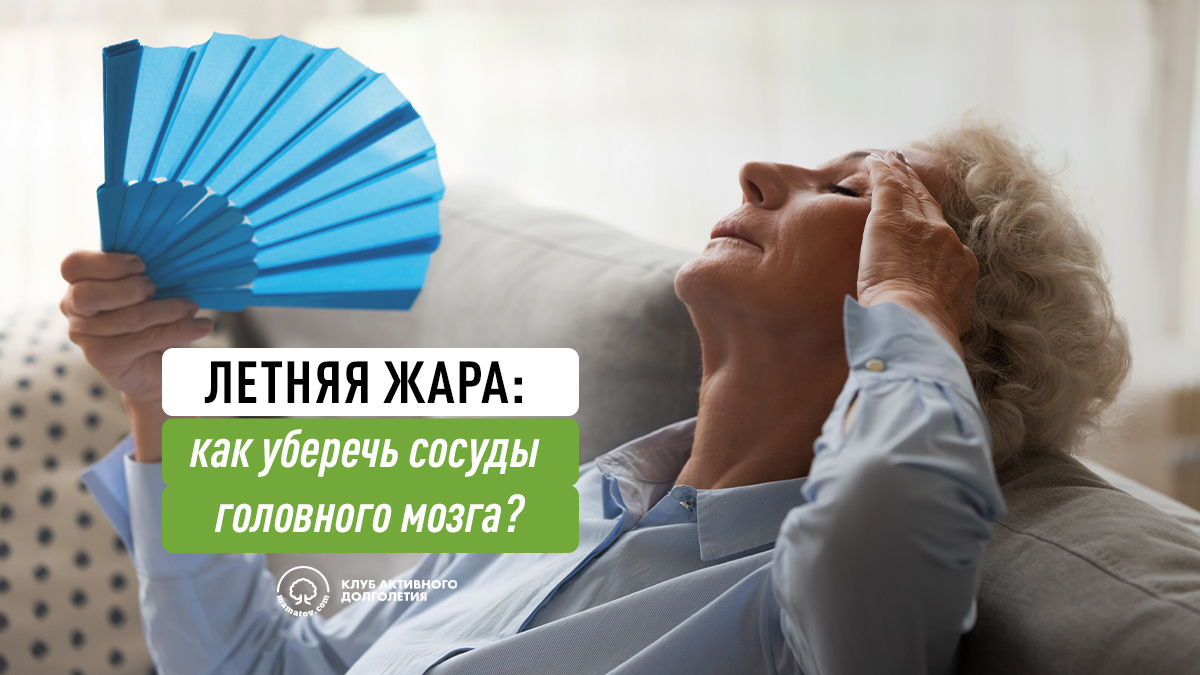 Как защитить сосуды мозга в летнюю жару