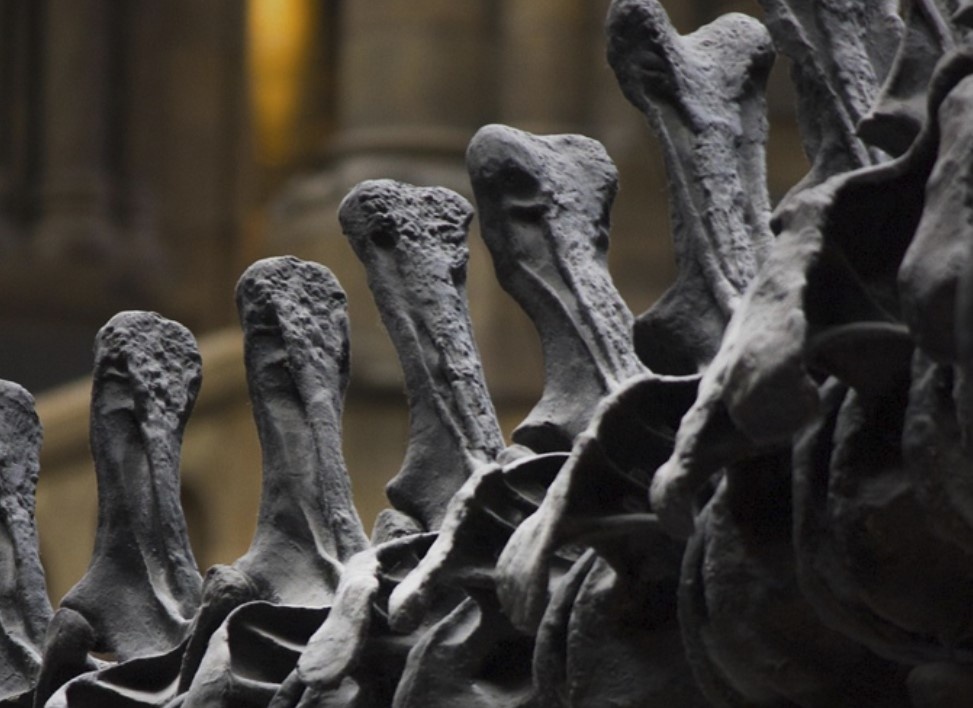    Pixabay Лариса Максимычева