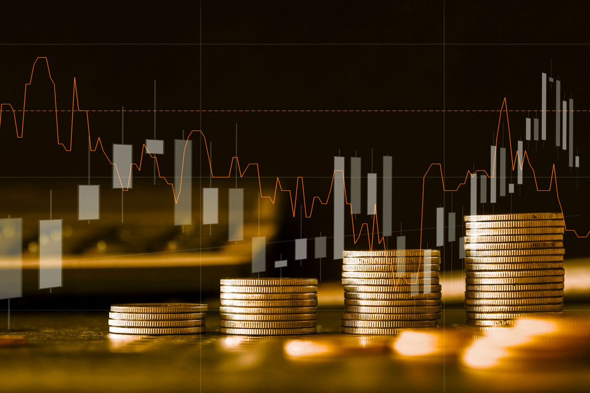    Фото: Tendo / Shutterstock.com