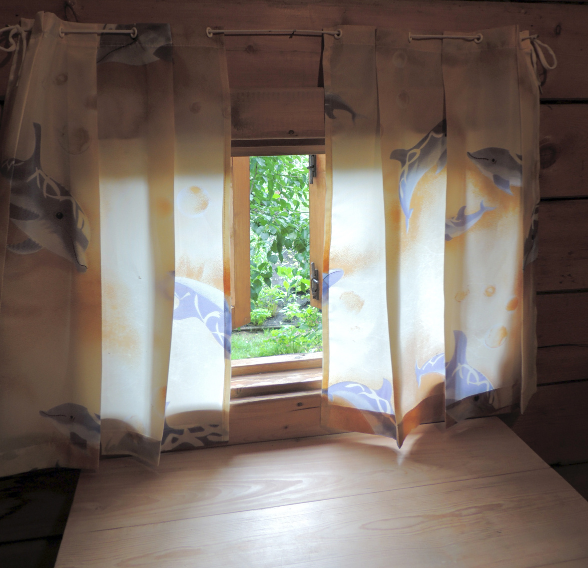 Фото автора статьи.