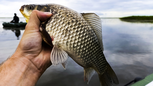 Как выбрать место для рыбалки на карася? 🎣 Всё, что нужно знать! Весна, лето, осень! 👍👍