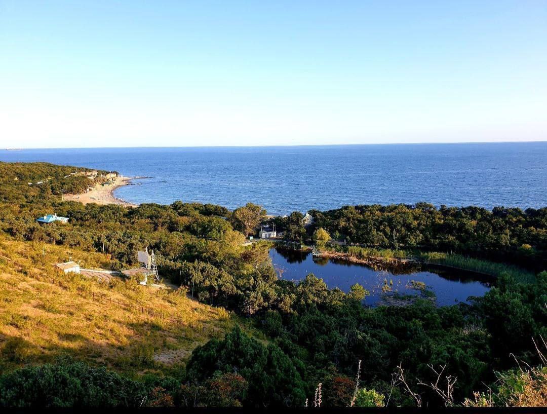    фото: соцсети