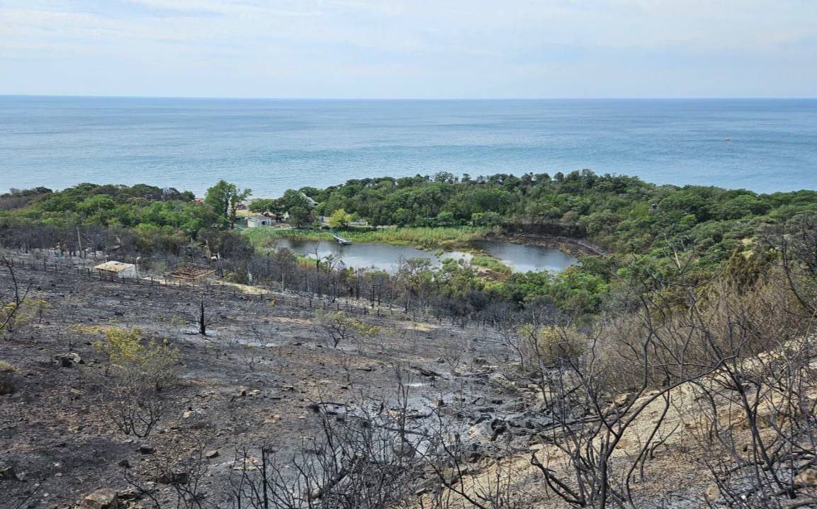    фото: соцсети