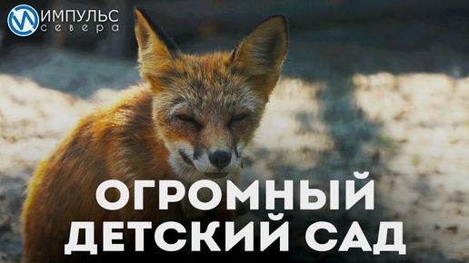 Огромный детский сад