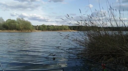 Бомбезная насадка ловит рыбу в жару и не спадает с крючка