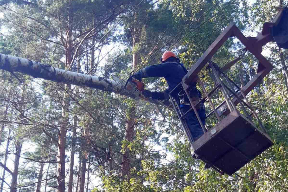    Свыше 150 работников витебской энергосистемы помогают ликвидировать последствия урагана в Гомельской области