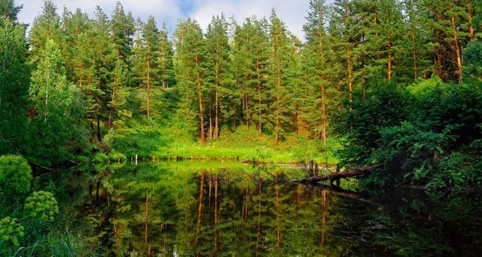 Фото: turizm.nso.ru