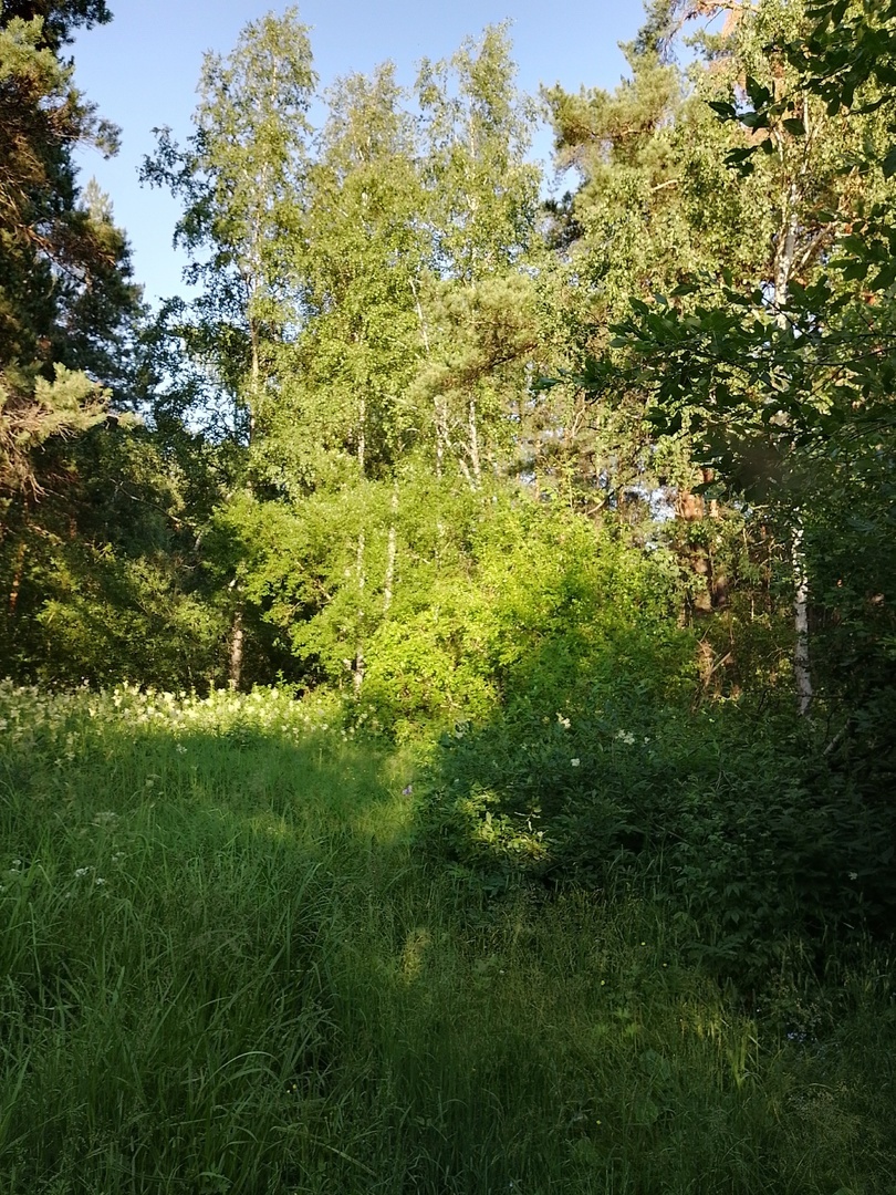 Жизнь прекрасна!