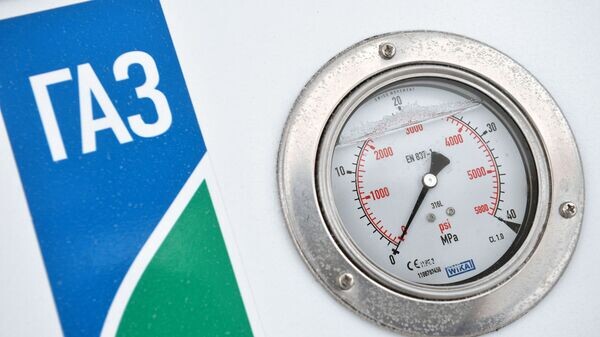    © Sputnik / Максим Богодвид