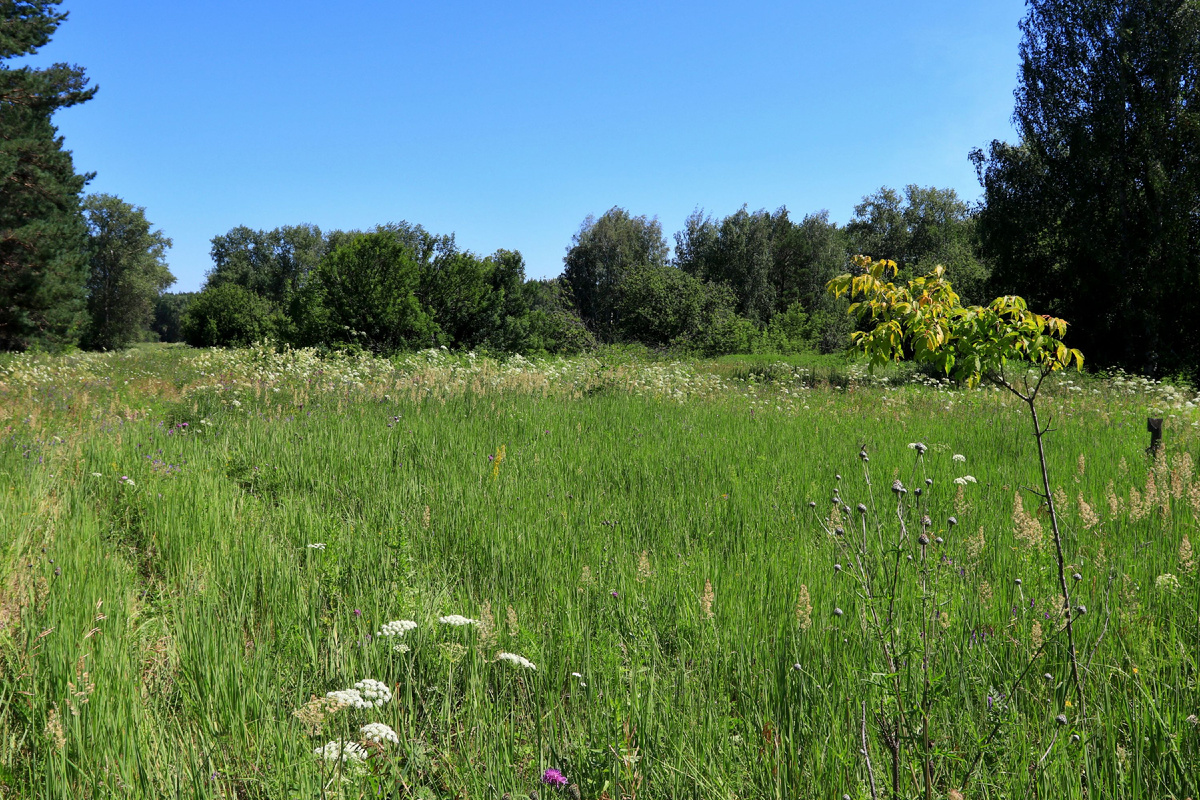 Когда-то здесь стоял посёлок Горный. К сожалению, старых фотографий посёлка мне найти не удалось (возможно, их не существует вовсе), поэтому приходится иллюстрировать рассказ так