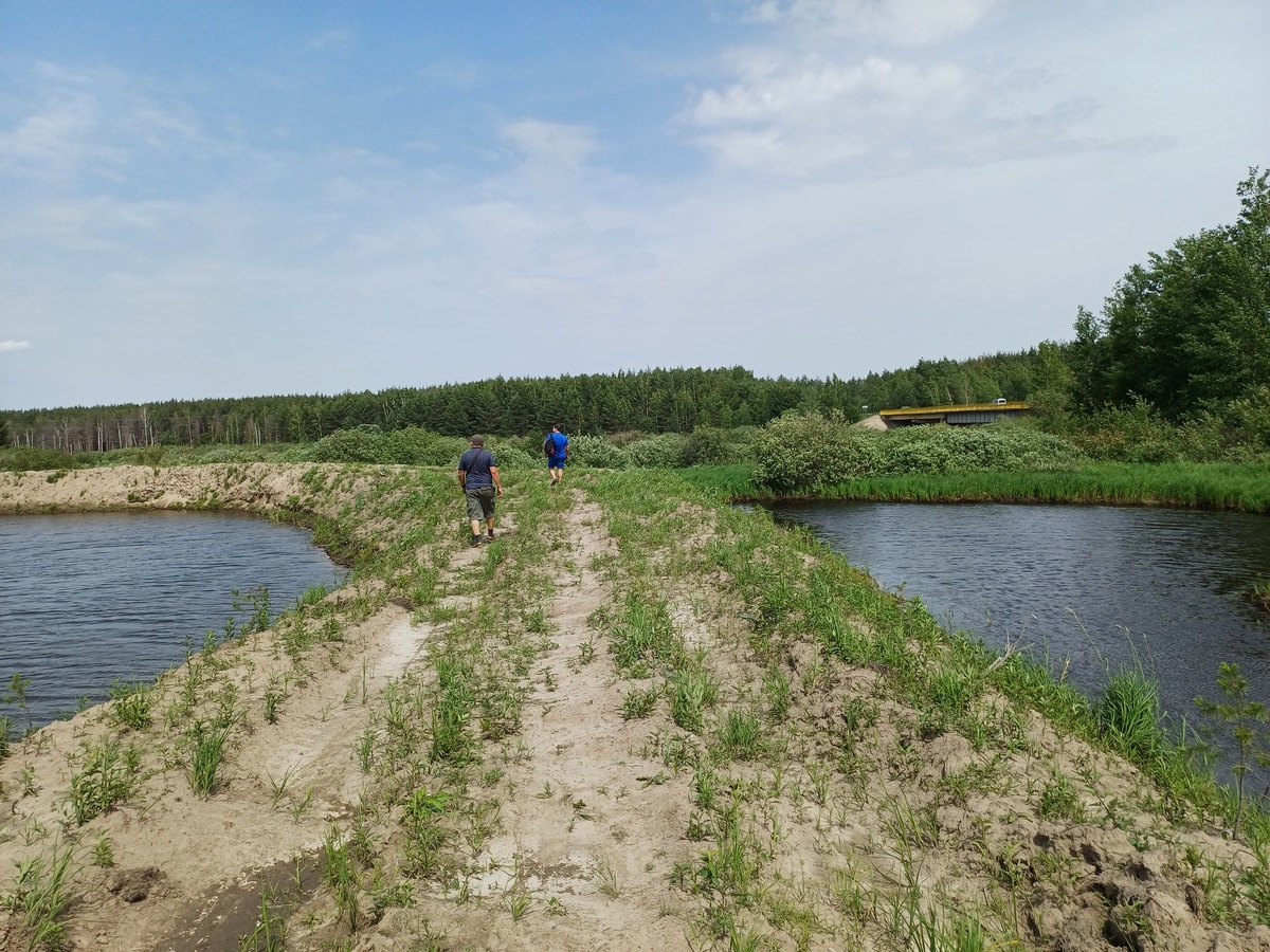 Рязанское региональное отделение Российского экологического общества  продолжает работу с обращениями жителей Рязанской области | Российское  экологическое общество | Дзен