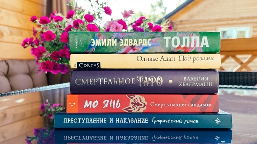 ЛЕТНИЕ КНИЖНЫЕ ПОПОЛНЕНИЯ