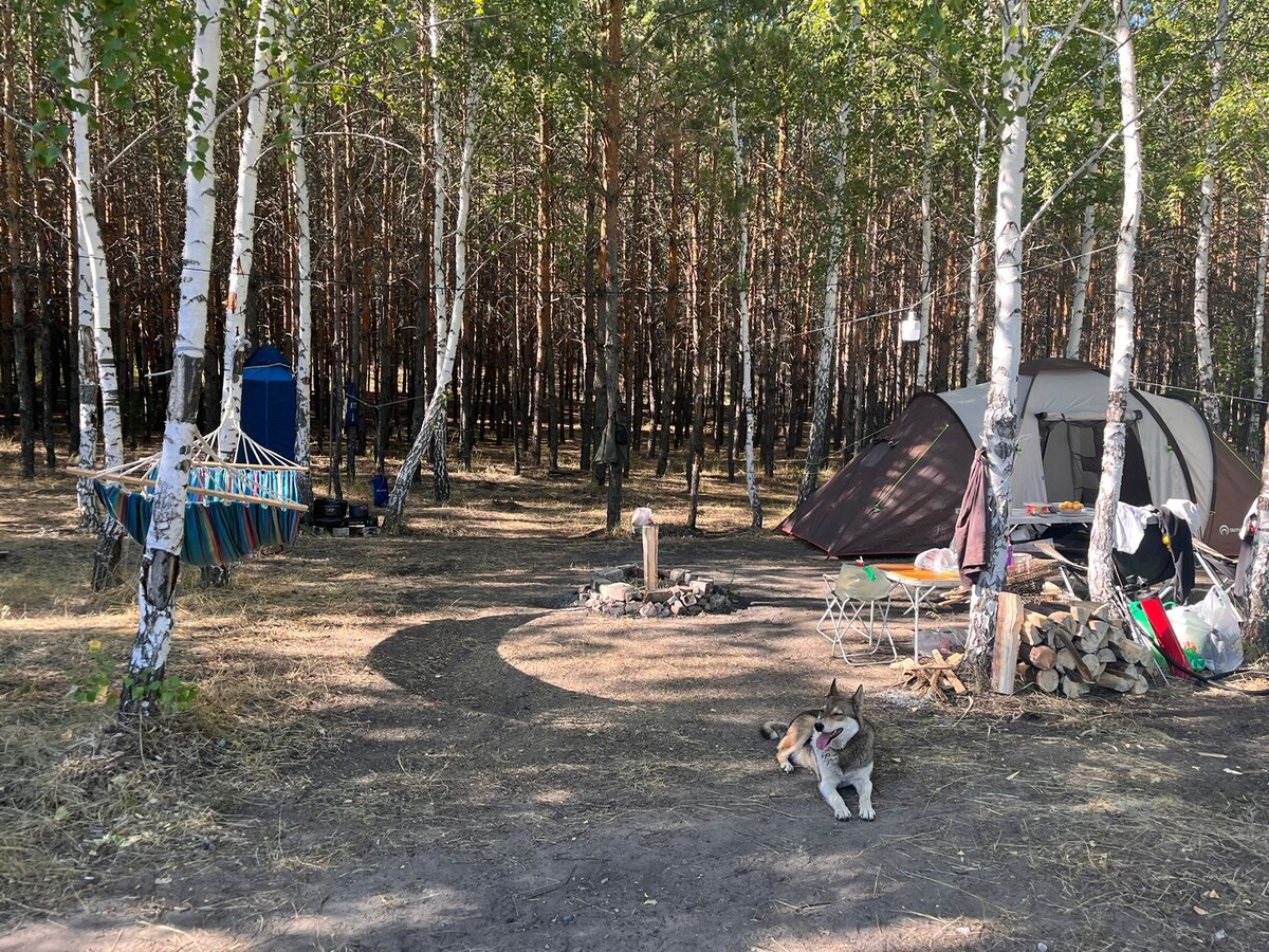 Фото июль 2024г.