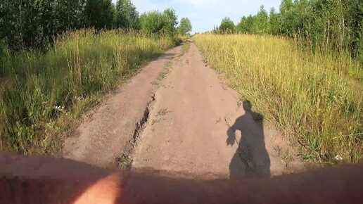 День 364. Что только не встретишь в природе. Дистанция 11 километров.