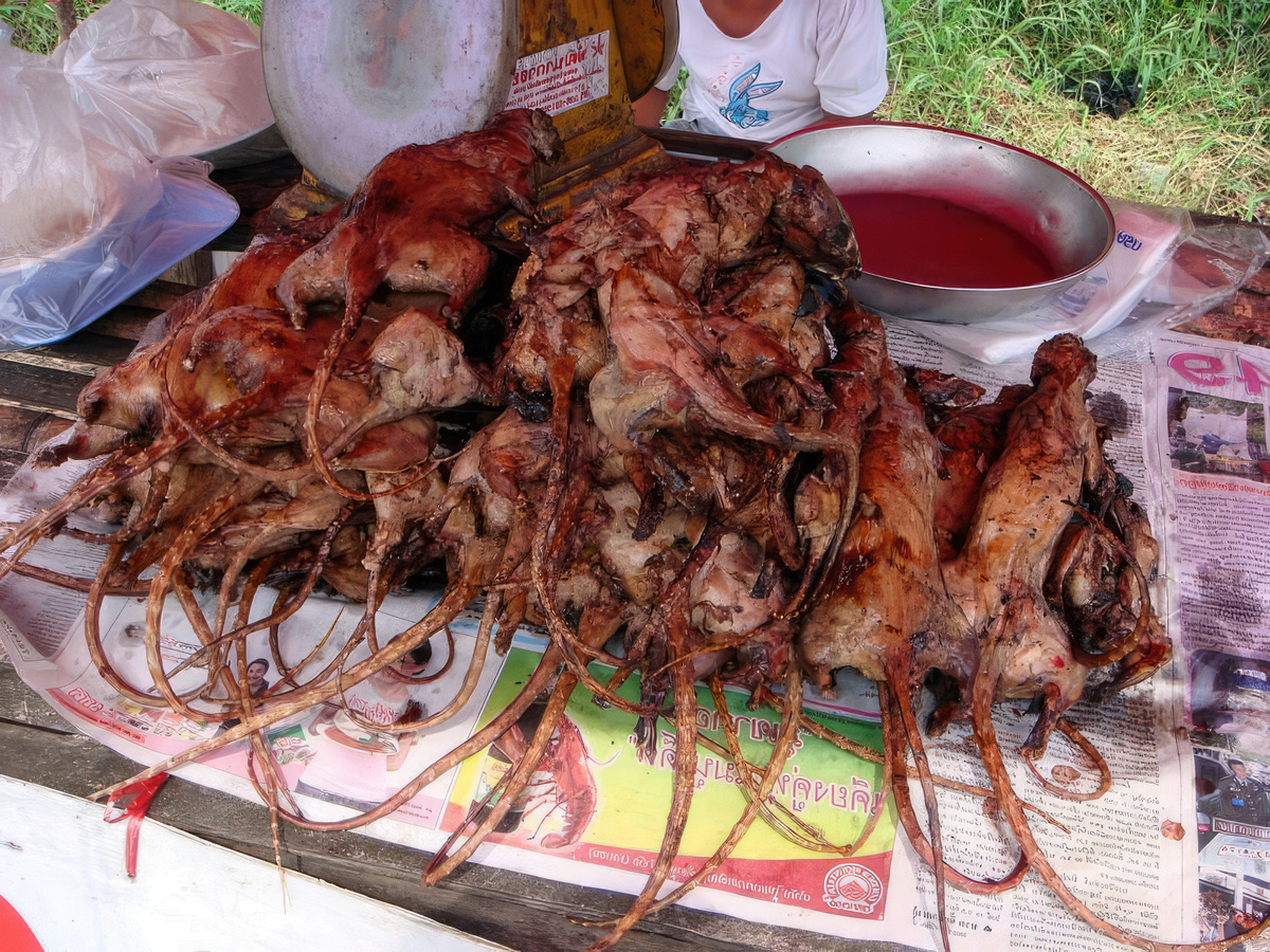 © Nicolai Baangsgard Flickr | Таиландские аппетитные крысы с острой пастой чили