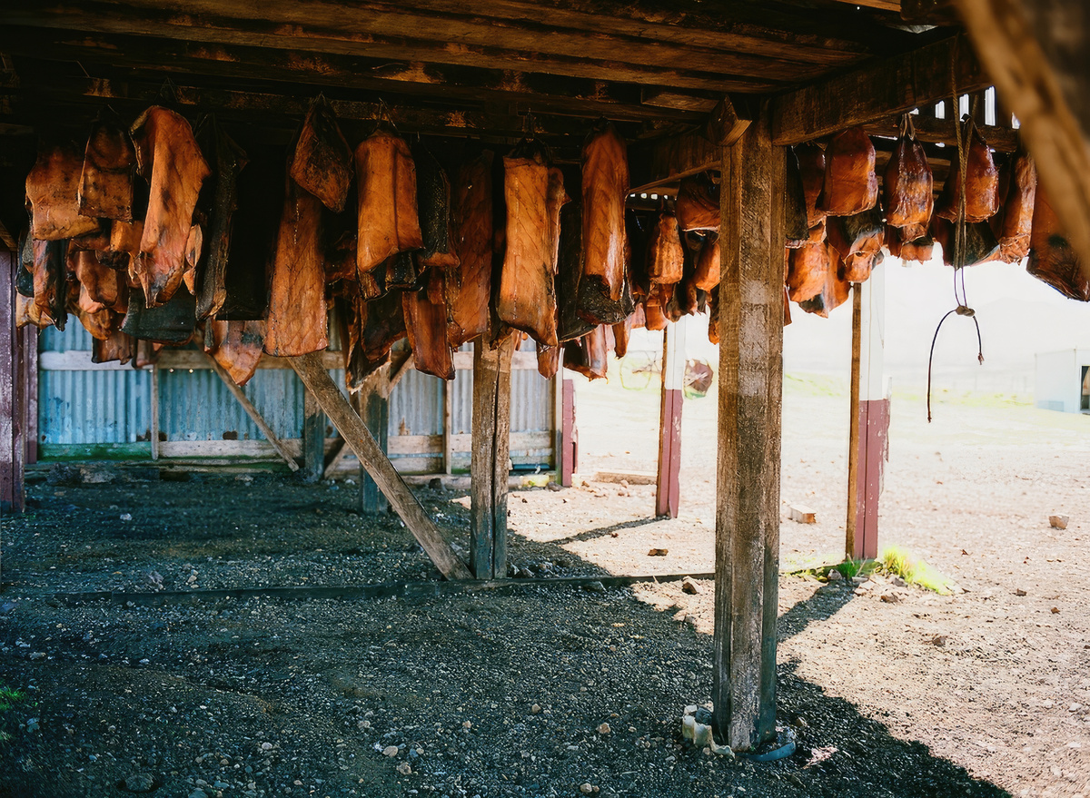 © Chris Wronski Flickr | Исландский деликатес "Хакарл"