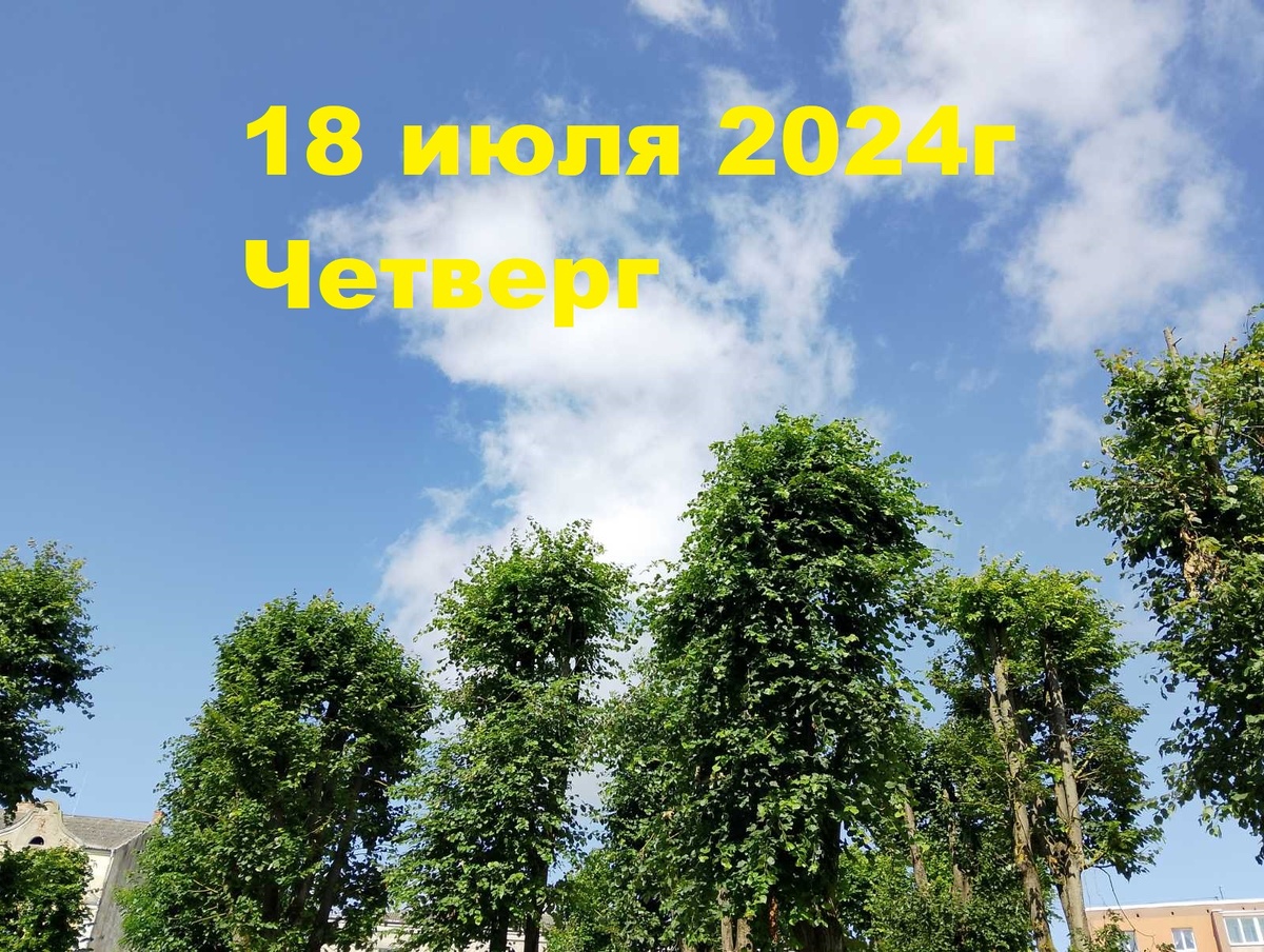 24 июня 2024 приметы