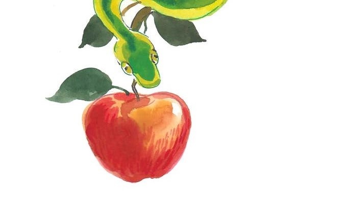 Рисунок из сети