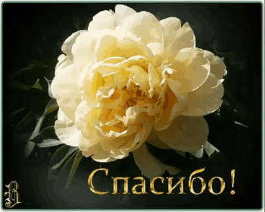 -33