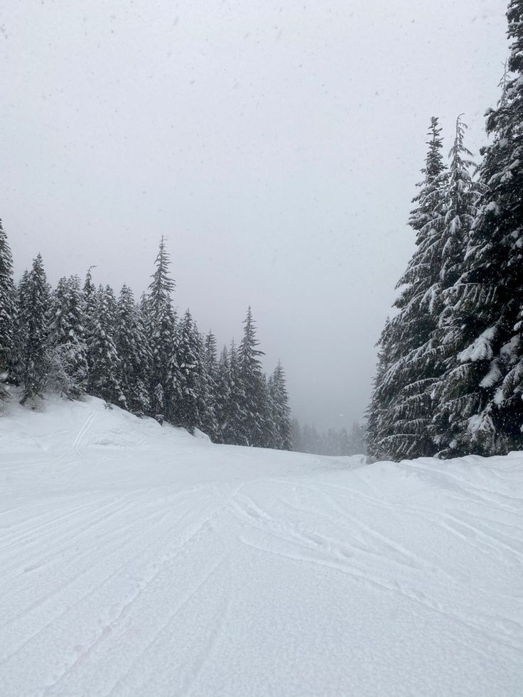 Фото взято из Pinterest