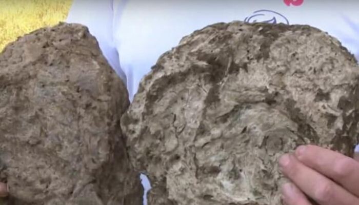 Источник фото: скриншот видео/ UTV