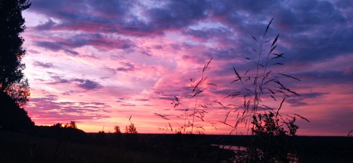 Фантастические закаты. Пение птиц и простор.