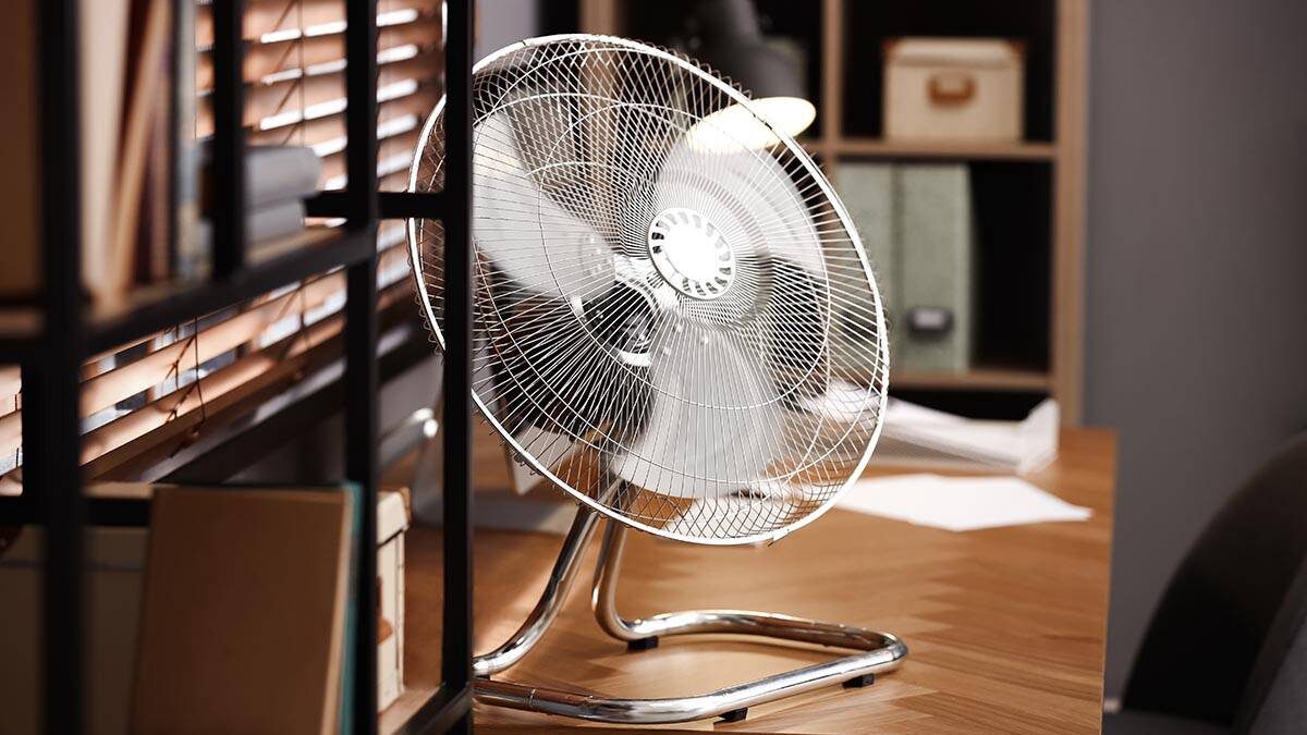    Фото: shutterstock