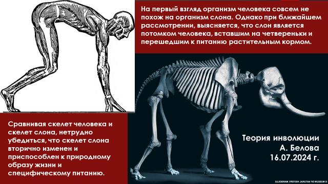 На первый взгляд организм человека совсем не похож на организм слона. Однако при ближайшем рассмотрении, выясняется, что слон является потомком человека, вставшим на четвереньки и перешедшим к питанию растительным кормом. Сравнивая скелет человека и скелет слона, нетрудно убедиться, что скелет слона вторично изменен и приспособлен к природному образу жизни и специфическому питанию.