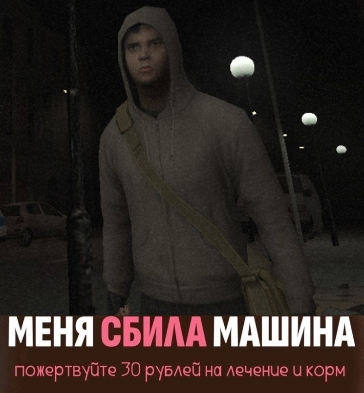 Скидываемся на лечение Нертис (я переписываю эту статью третий раз)