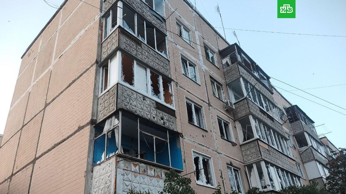    Фото: vn_zhdanov / t.me