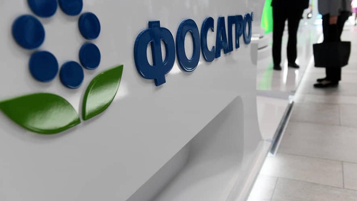 ФосАгро - расчет индивидуальной диведной доходности. Мысли и планы на будущее.