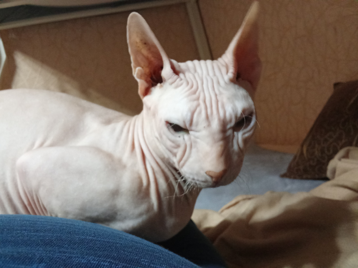 Все фотографии в этой публикации сделаны автором канала