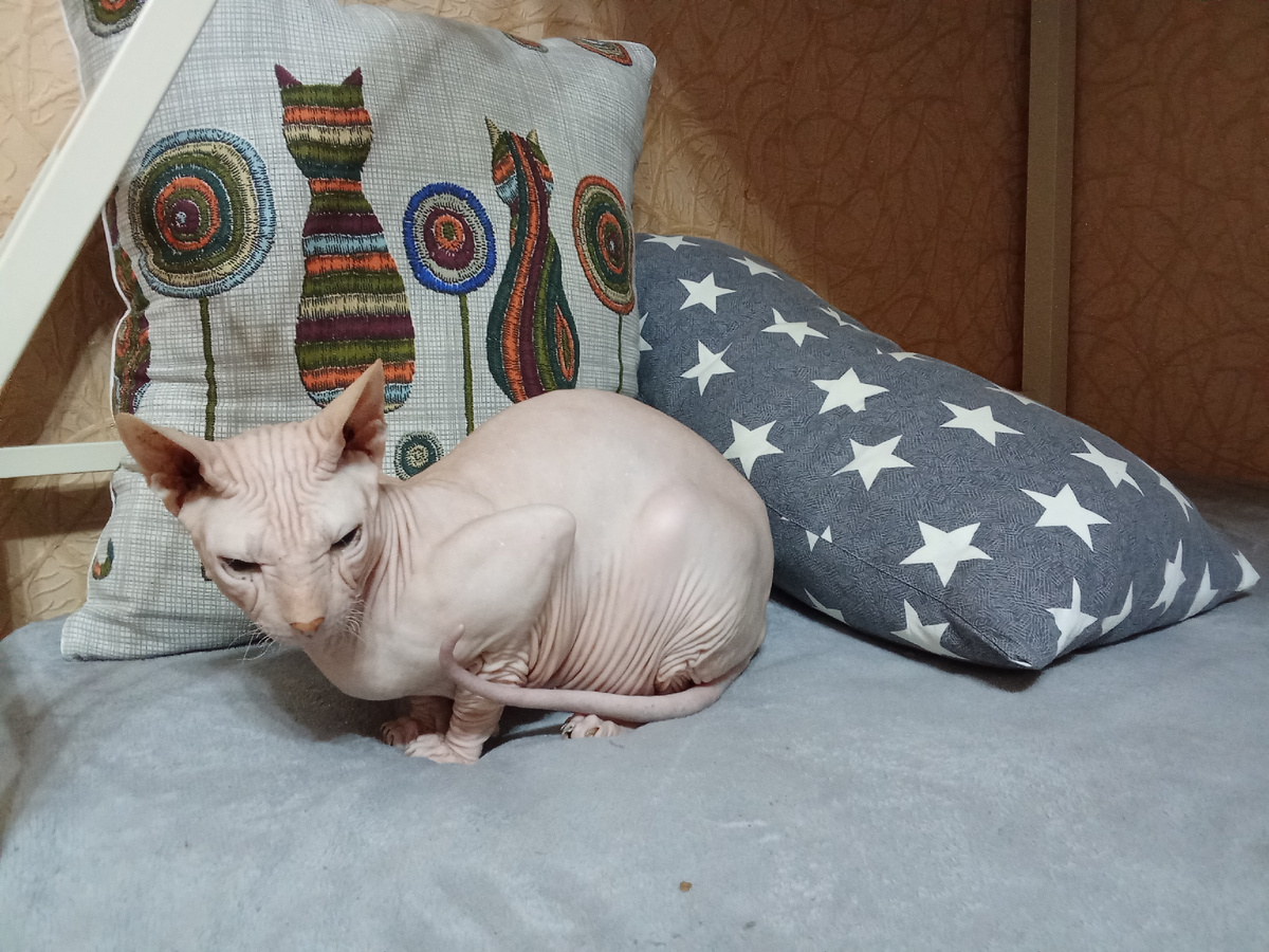 Можно кормящим в баню