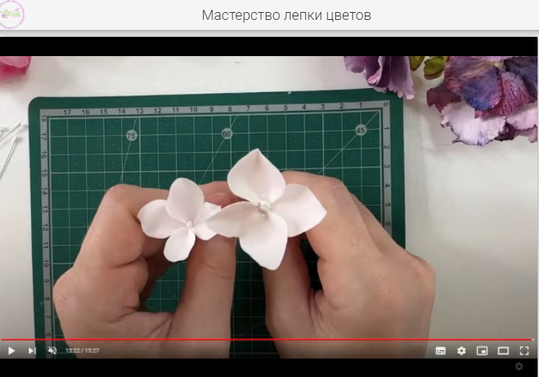 Вот из таких маленьких гортензий 30 ноября в Москве будет собран герб России (мировой рекорд).