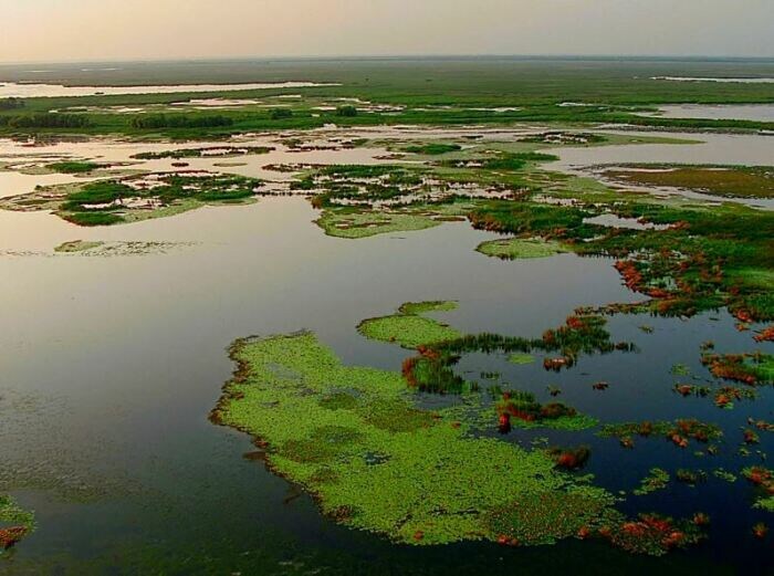 Большие и древние. /Фото: ornella.club.