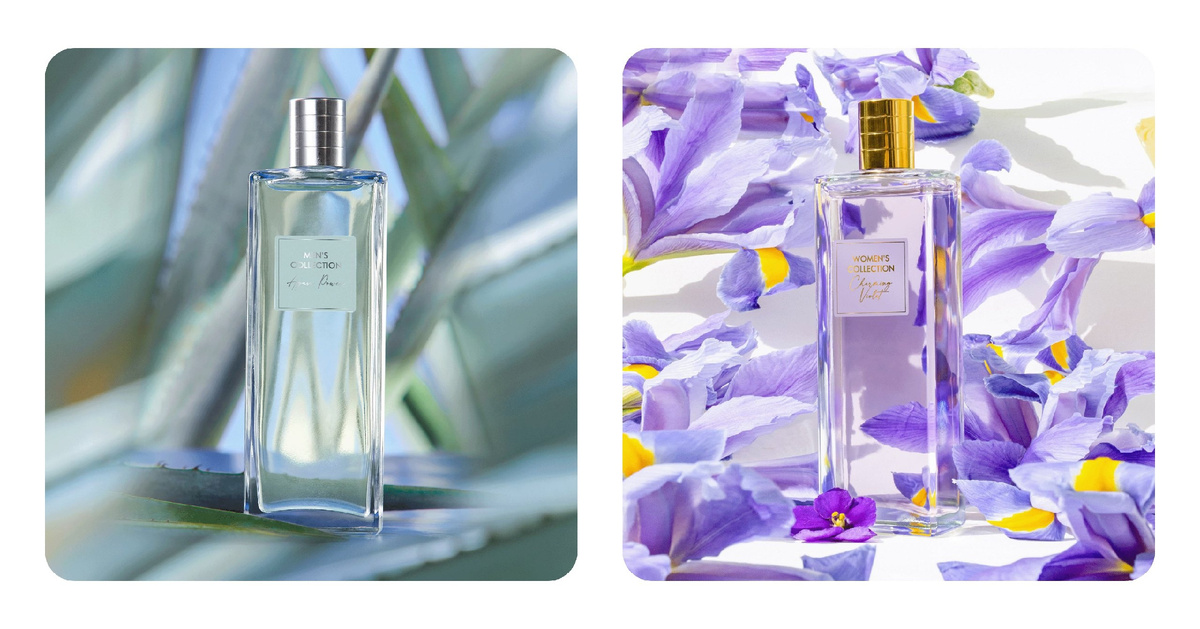 Agave Power, Charming Violet